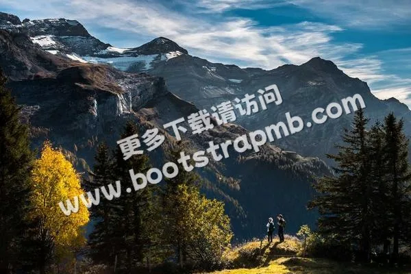 ⊞ Portfolio - 必赢chengruixin